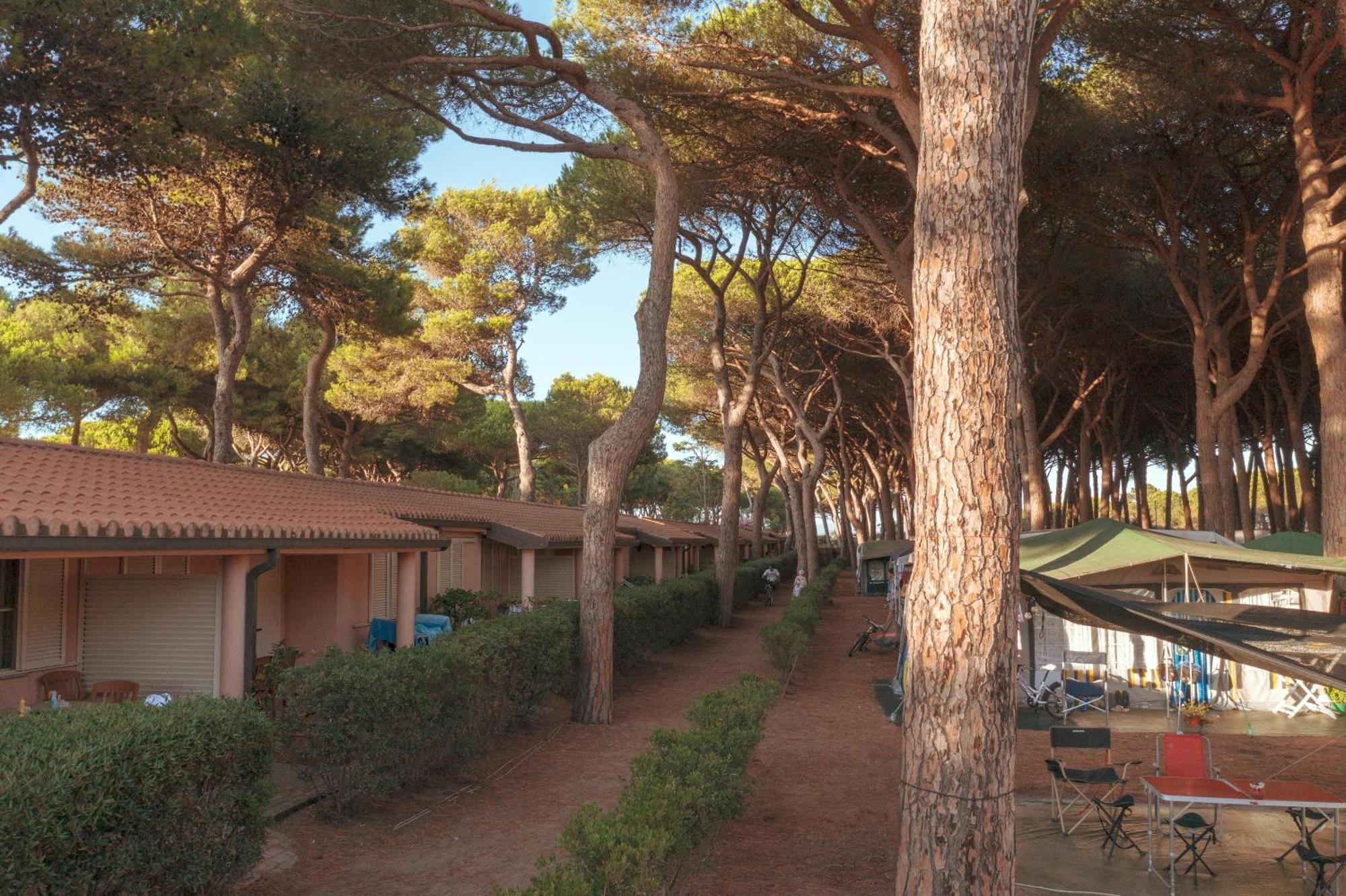 Argentario Camping Village Albinia Esterno foto The village